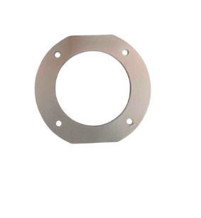 Riello 3005813 G20 Burner Flange Gasket