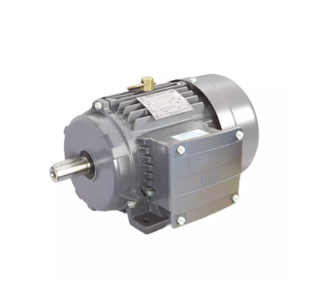 LHP 0.75kW/1HP 3 Phase Motor