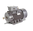 LHP 2.2kW/3.7kW Dual Speed Motor