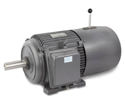 [213373] 213373 LHP Induction Motor with Brake